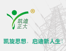 閥型避雷器計(jì)數(shù)器如何檢測？回顧國家絕緣子避雷器質(zhì)量監(jiān)督檢驗(yàn)中心檢驗(yàn)報(bào)告
